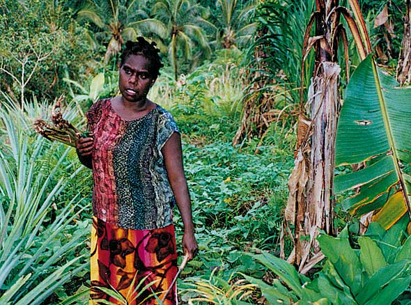 agnes Agnes, a community-based agricultural trainer on Bougainville, in her bush garden. The productivity and diversity of bush gardens is critical to the nutritional health of Melanesians who continue to follow a village-based lifestyle