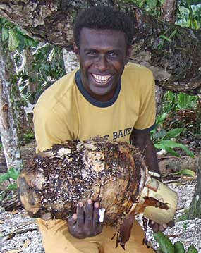 kakake-inia
