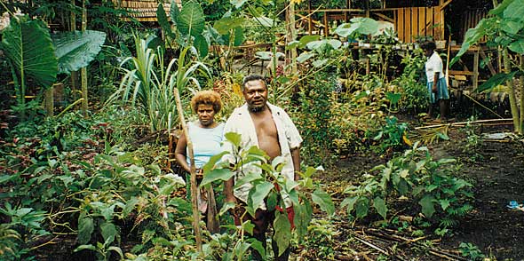 malaita_garden